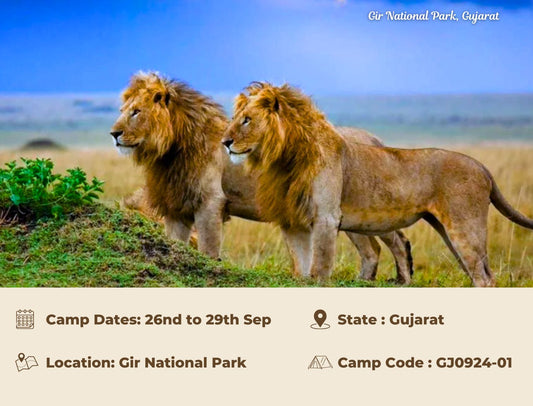 Gir National Park, Gujarat